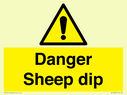 danger-sheep-dip~